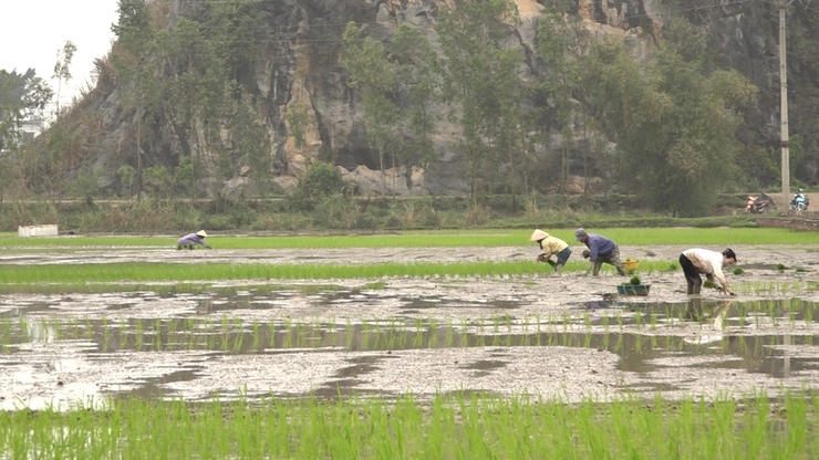 Chủ tịch UBND xã Mỹ Đức kiểm tra tình hình sản xuất nông nghiệp đầu xuân- Ảnh 7.