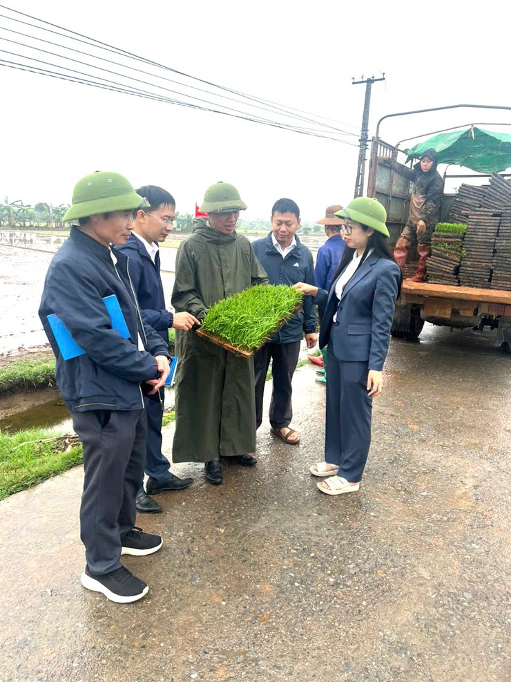 Phòng Kinh tế xã kiểm tra tiến độ sản xuất lúa vụ Xuân tại HTX Nông nghiệp Phú Xuân- Ảnh 1.