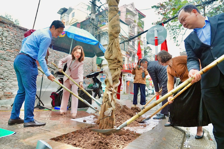 Phường Ngọc Hà phát động “Tết trồng cây đời đời nhớ ơn Bác Hồ” - Xuân Bính Ngọ 2026- Ảnh 5.