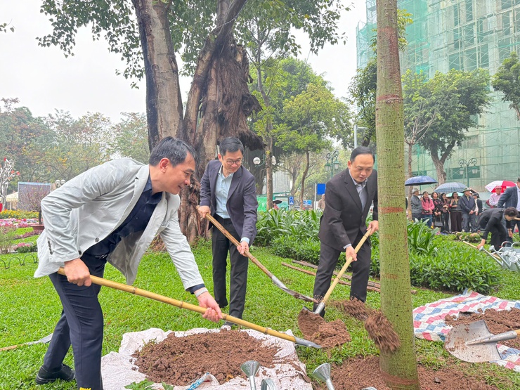 Phường Cửa Nam "phát động Tết trồng cây đời đời nhớ ơn Bác Hồ"- Ảnh 9.