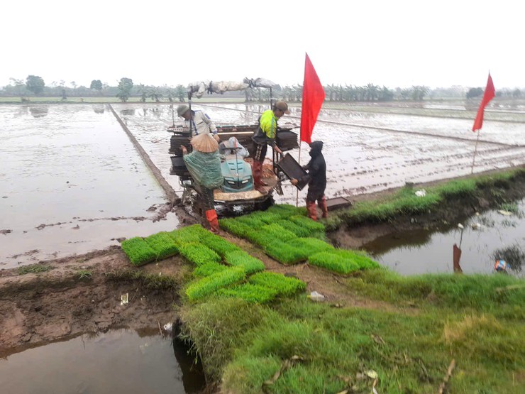 Phòng Kinh tế xã kiểm tra tiến độ sản xuất lúa vụ Xuân tại HTX Nông nghiệp Phú Xuân- Ảnh 3.
