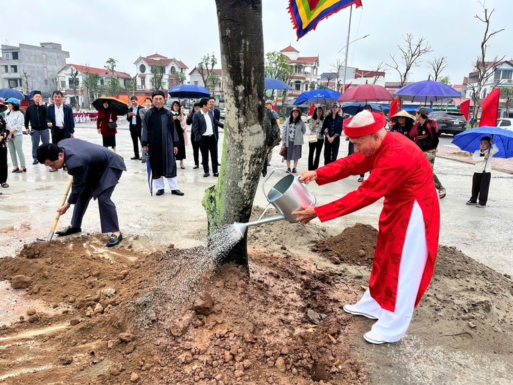 Xã Bát Tràng phấn đấu trồng trên 3.000 cây xanh, cây bóng mát năm 2026- Ảnh 5.
