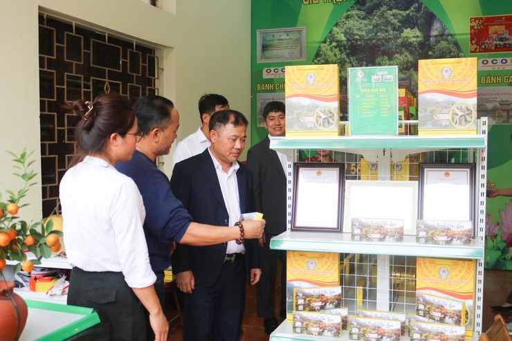 Các đồng chí lãnh đạo xã Quốc Oai kiểm tra tình hình sản xuất vụ Xuân năm 2026- Ảnh 9.