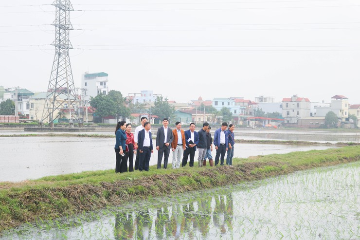 Các đồng chí lãnh đạo xã Quốc Oai kiểm tra tình hình sản xuất vụ Xuân năm 2026- Ảnh 2.