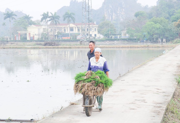 Các đồng chí lãnh đạo xã Quốc Oai kiểm tra tình hình sản xuất vụ Xuân năm 2026- Ảnh 3.