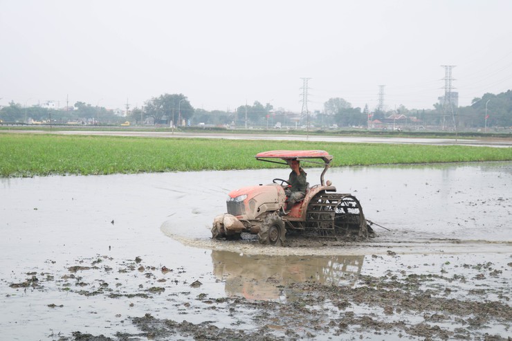 Các đồng chí lãnh đạo xã Quốc Oai kiểm tra tình hình sản xuất vụ Xuân năm 2026- Ảnh 4.