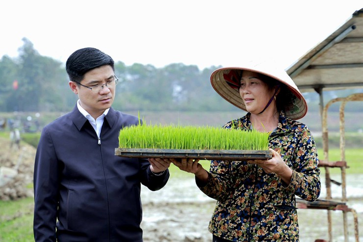 Xã Đa Phúc - Bí thư Đảng ủy và Chủ tịch UBND xã kiểm tra tiến độ gieo cấy vụ Xuân năm 2026 và ứng dụng cơ giới hóa trong sản xuất nông nghiệp- Ảnh 1.