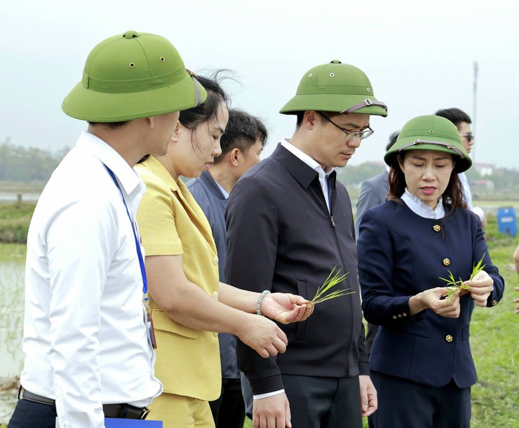 Xã Đa Phúc - Bí thư Đảng ủy và Chủ tịch UBND xã kiểm tra tiến độ gieo cấy vụ Xuân năm 2026 và ứng dụng cơ giới hóa trong sản xuất nông nghiệp- Ảnh 2.