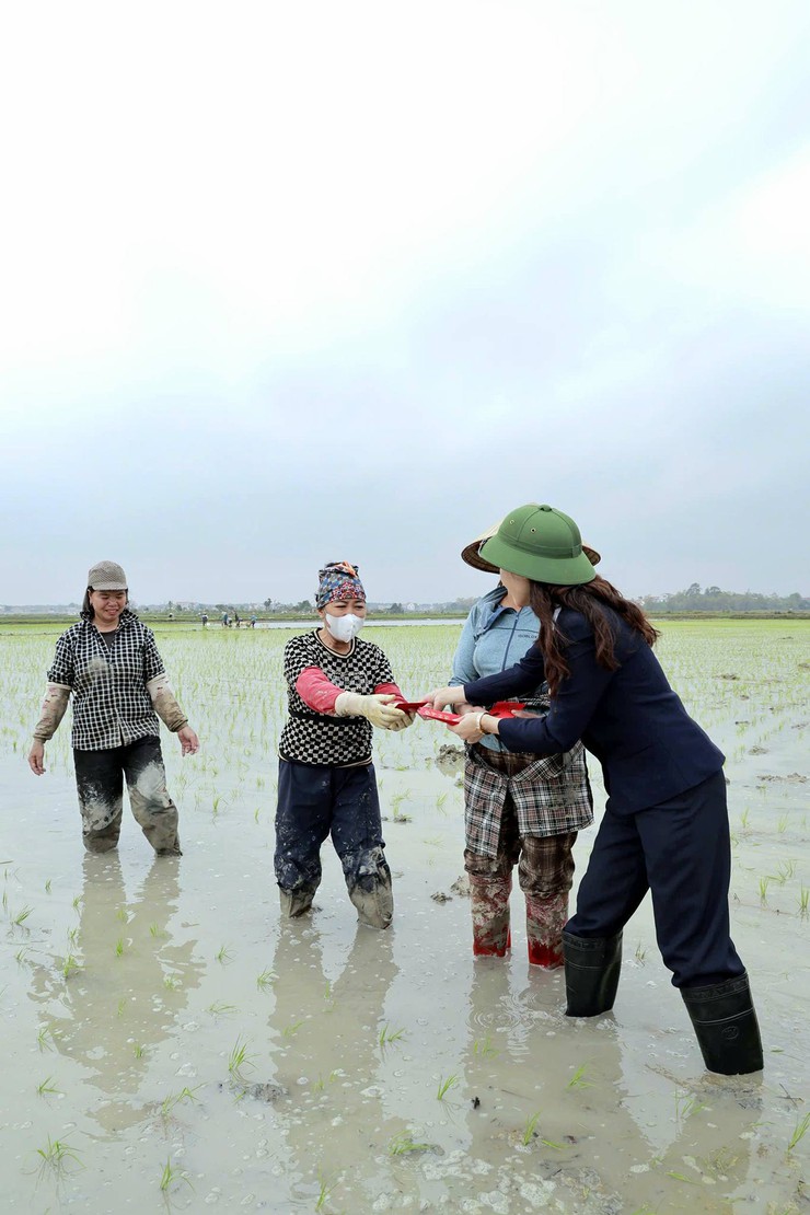 Xã Đa Phúc - Bí thư Đảng ủy và Chủ tịch UBND xã kiểm tra tiến độ gieo cấy vụ Xuân năm 2026 và ứng dụng cơ giới hóa trong sản xuất nông nghiệp- Ảnh 4.