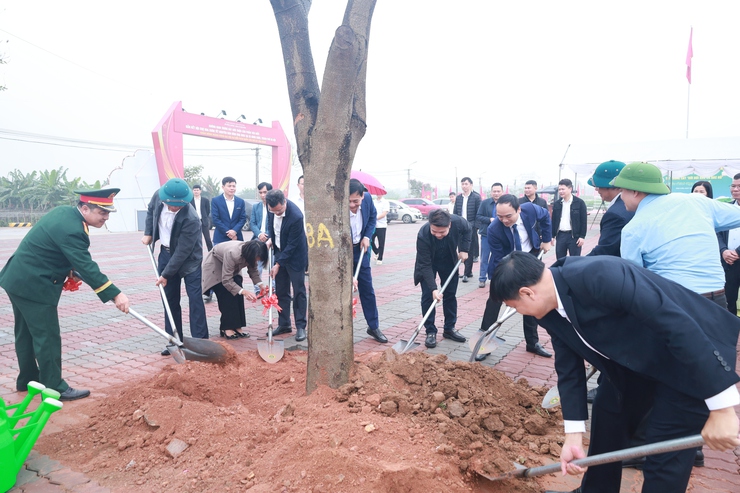 Phủ xanh xã đảo Minh Châu bằng 5.000 cây trồng mới- Ảnh 3.