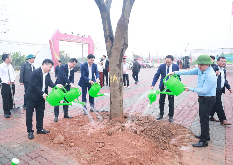 Phủ xanh xã đảo Minh Châu bằng 5.000 cây trồng mới- Ảnh 4.