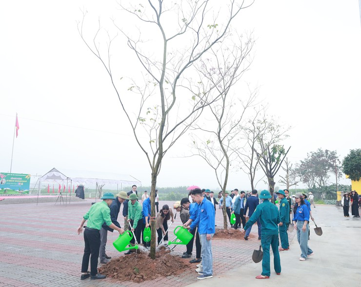 Phủ xanh xã đảo Minh Châu bằng 5.000 cây trồng mới- Ảnh 5.