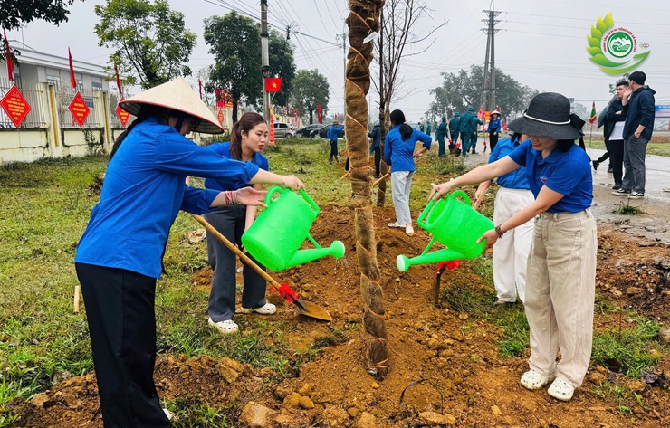 PHÚ CÁT: PHÁT ĐỘNG “TẾT TRỒNG CÂY ĐỜI ĐỜI NHỚ ƠN BÁC HỒ” XUÂN BÍNH NGỌ 2026- Ảnh 9.