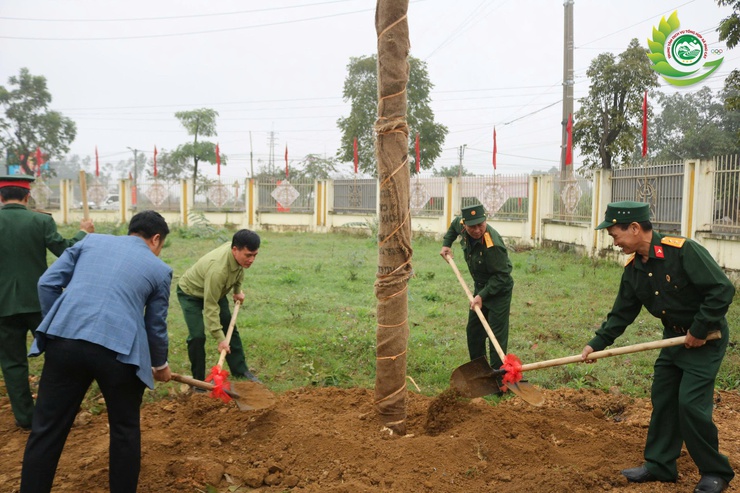 PHÚ CÁT: PHÁT ĐỘNG “TẾT TRỒNG CÂY ĐỜI ĐỜI NHỚ ƠN BÁC HỒ” XUÂN BÍNH NGỌ 2026- Ảnh 7.