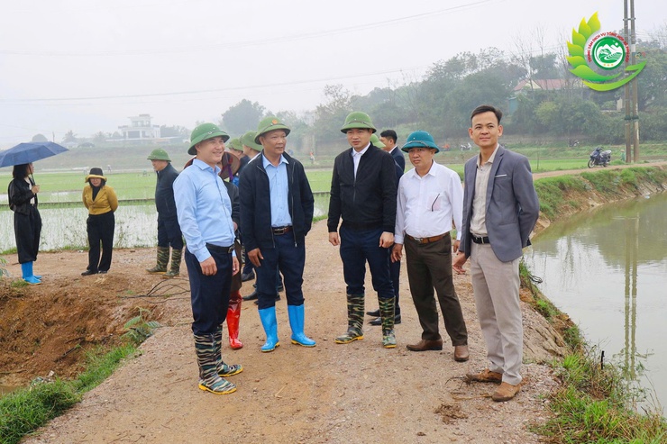 Lãnh đạo xã Phú Cát thăm đồng, kiểm tra tiến độ cấy lúa vụ xuân năm 2026- Ảnh 1.