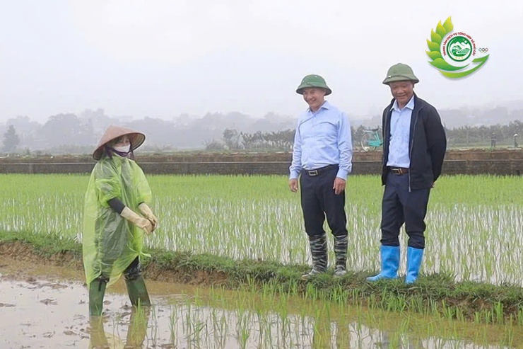 Lãnh đạo xã Phú Cát thăm đồng, kiểm tra tiến độ cấy lúa vụ xuân năm 2026- Ảnh 3.
