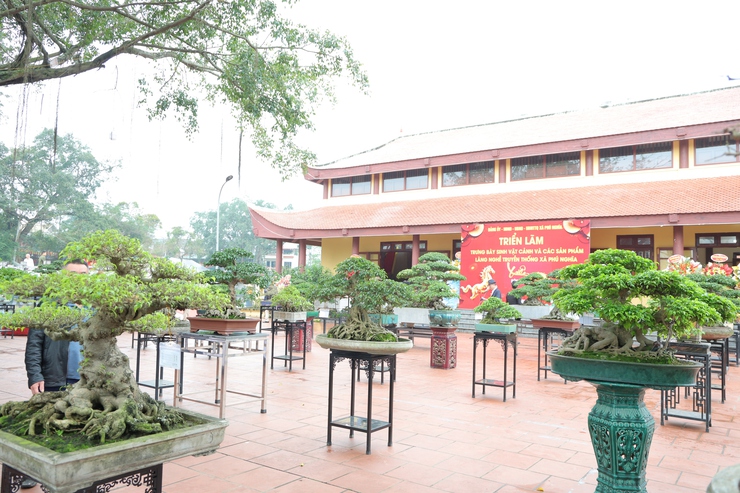 Phú Nghĩa tổ chức Triển lãm trưng bày sinh vật cảnh và sản phẩm làng nghề truyền thống- Ảnh 11.