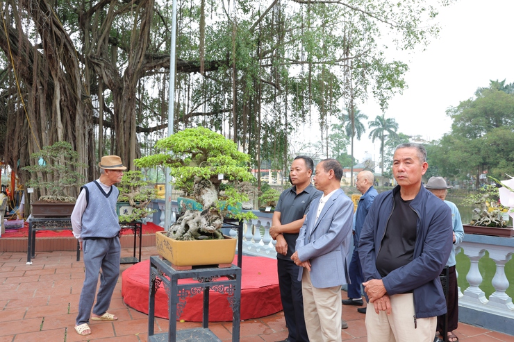 Phú Nghĩa tổ chức Triển lãm trưng bày sinh vật cảnh và sản phẩm làng nghề truyền thống- Ảnh 12.