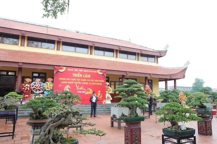 Phú Nghĩa tổ chức Triển lãm trưng bày sinh vật cảnh và sản phẩm làng nghề truyền thống- Ảnh 9.