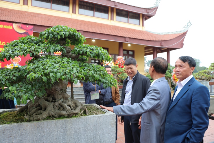 Phú Nghĩa tổ chức Triển lãm trưng bày sinh vật cảnh và sản phẩm làng nghề truyền thống- Ảnh 15.