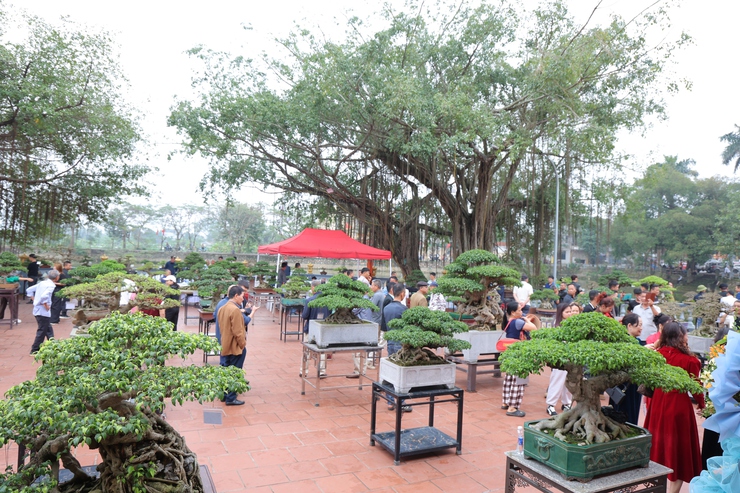 Phú Nghĩa tổ chức Triển lãm trưng bày sinh vật cảnh và sản phẩm làng nghề truyền thống- Ảnh 16.