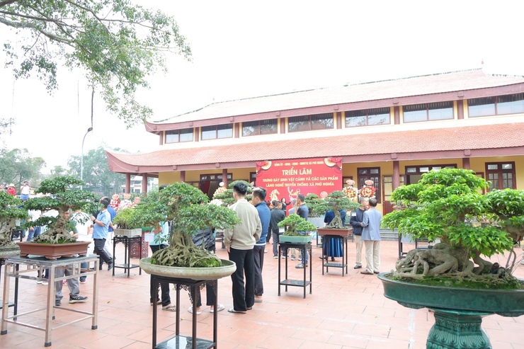 Phú Nghĩa tổ chức Triển lãm trưng bày sinh vật cảnh và sản phẩm làng nghề truyền thống- Ảnh 10.