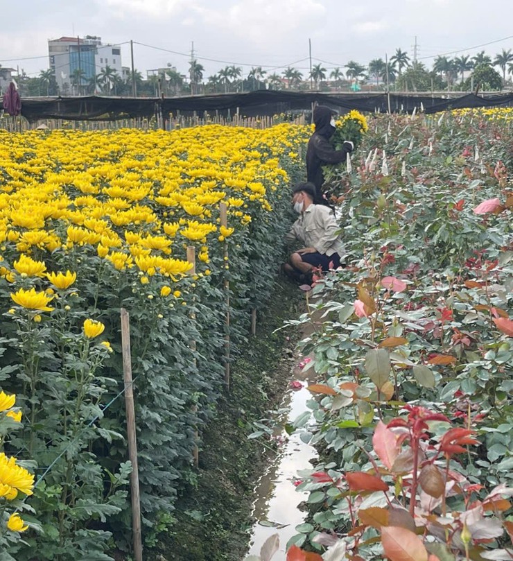 Phường Tây Tựu: Ăn Tết gọn, làm việc sớm, vào việc ngay- Ảnh 6.