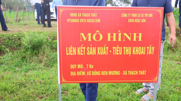 Lãnh đạo Thạch Thất kiểm tra tình hình sản xuất vụ Xuân 2026- Ảnh 9.