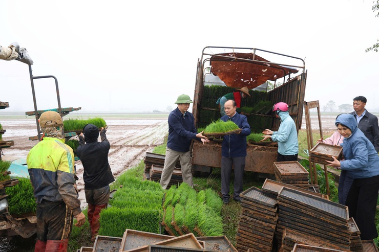 Đồng chí Phó Chủ tịch UBND xã kiểm tra, động viên sản xuất vụ xuân- Ảnh 1.