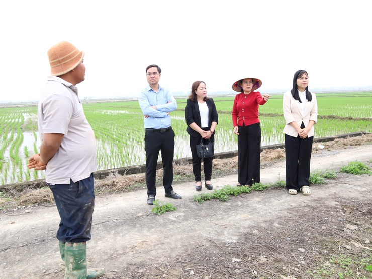 ĐOÀN LÃNH ĐẠO XÃ CỔ ĐÔ THAM QUAN MỘT SỐ MÔ HÌNH SẢN XUẤT NÔNG NGHIỆP TRÊN ĐỊA BÀN- Ảnh 4.