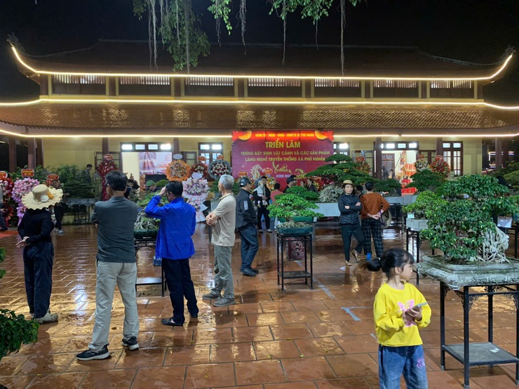 Phú Nghĩa tổ chức Triển lãm trưng bày sinh vật cảnh và sản phẩm làng nghề truyền thống- Ảnh 23.