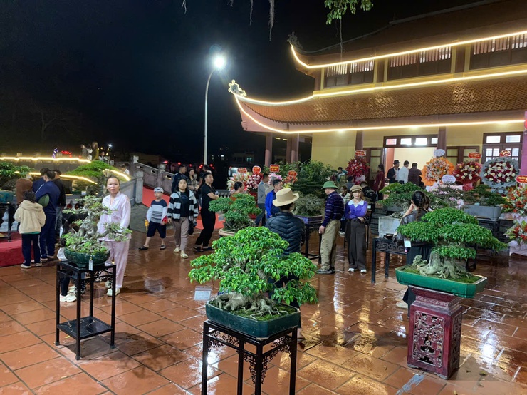 Phú Nghĩa tổ chức Triển lãm trưng bày sinh vật cảnh và sản phẩm làng nghề truyền thống- Ảnh 24.