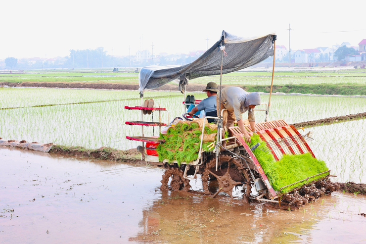 YÊN LÃNG: KHÍ THẾ MỚI, THẮNG LỢI MỚI TRONG TẾT ĐẦU TIÊN THỰC HIỆN MÔ HÌNH CHÍNH QUYỀN ĐỊA PHƯƠNG HAI CẤP- Ảnh 11.