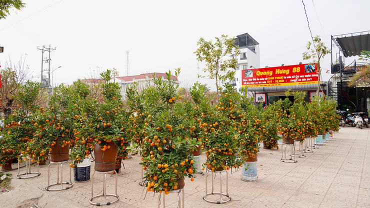 YÊN LÃNG: KHÍ THẾ MỚI, THẮNG LỢI MỚI TRONG TẾT ĐẦU TIÊN THỰC HIỆN MÔ HÌNH CHÍNH QUYỀN ĐỊA PHƯƠNG HAI CẤP- Ảnh 6.