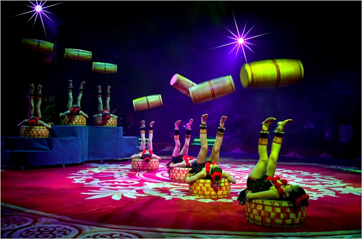 Trường Nghệ thuật Xiếc và Tạp kỹ Việt Nam tìm kiếm tài năng trẻ tại xã Nội Bài cho năm học 2026-2027- Ảnh 1.