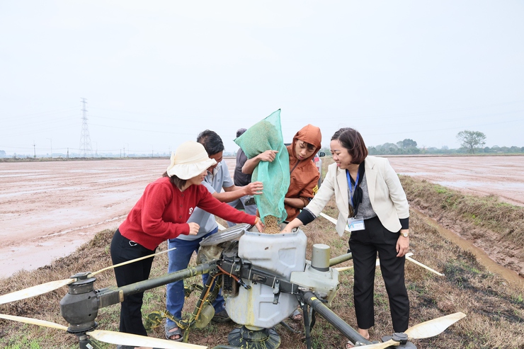 Quảng Bị áp dụng gieo sạ bằng máy bay không người lái trong sản xuất lúa vụ xuân 2026- Ảnh 1.