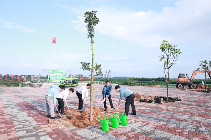 Lãnh đạo xã Minh Châu ra quân trồng cây đầu xuân 2026 tại khu vực Chợ Minh Châu.- Ảnh 1.
