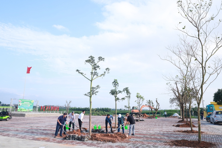 Lãnh đạo xã Minh Châu ra quân trồng cây đầu xuân 2026 tại khu vực Chợ Minh Châu.- Ảnh 3.