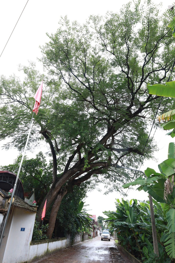 Xã Minh Châu có 02 Di tích được xếp hạng Di tích lịch sử - văn hóa cấp Thành phố.- Ảnh 7.