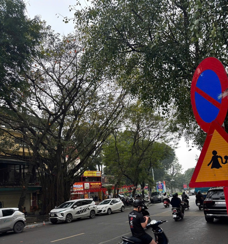 Ngày 28/2, Hà Nội sáng sớm có sương mù nhẹ, trưa chiều trời nắng. Đêm và sáng trời lạnh- Ảnh 1.