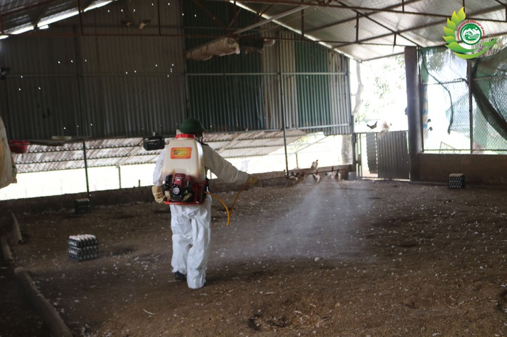 Phú Cát ra quân tổng vệ sinh, khử trùng môi trường phòng, chống dịch bệnh gia súc gia cầm dịp tết Bính Ngọ 2026- Ảnh 10.