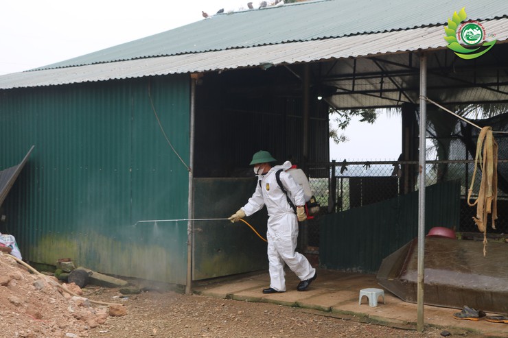 Phú Cát ra quân tổng vệ sinh, khử trùng môi trường phòng, chống dịch bệnh gia súc gia cầm dịp tết Bính Ngọ 2026- Ảnh 11.