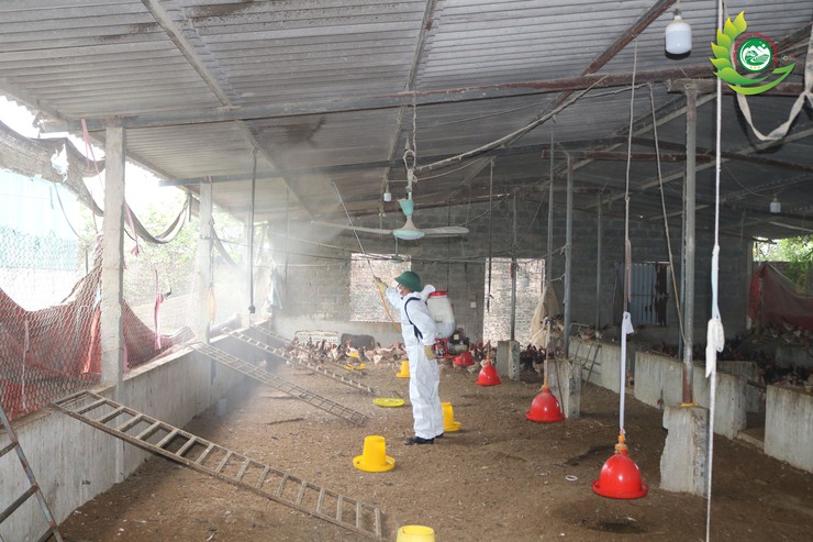 Phú Cát ra quân tổng vệ sinh, khử trùng môi trường phòng, chống dịch bệnh gia súc gia cầm dịp tết Bính Ngọ 2026- Ảnh 2.
