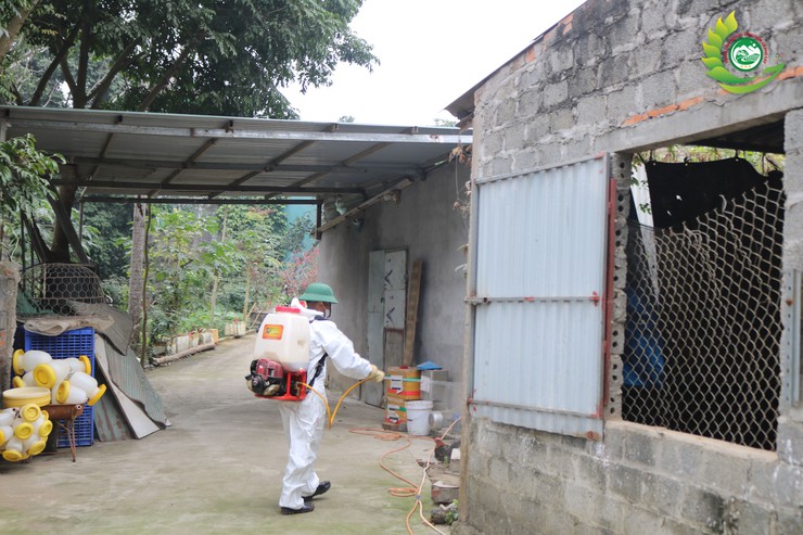 Phú Cát ra quân tổng vệ sinh, khử trùng môi trường phòng, chống dịch bệnh gia súc gia cầm dịp tết Bính Ngọ 2026- Ảnh 3.