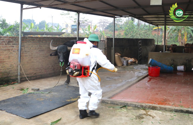 Phú Cát ra quân tổng vệ sinh, khử trùng môi trường phòng, chống dịch bệnh gia súc gia cầm dịp tết Bính Ngọ 2026- Ảnh 5.