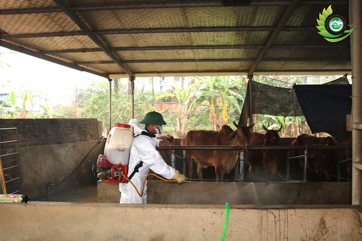 Phú Cát ra quân tổng vệ sinh, khử trùng môi trường phòng, chống dịch bệnh gia súc gia cầm dịp tết Bính Ngọ 2026- Ảnh 6.