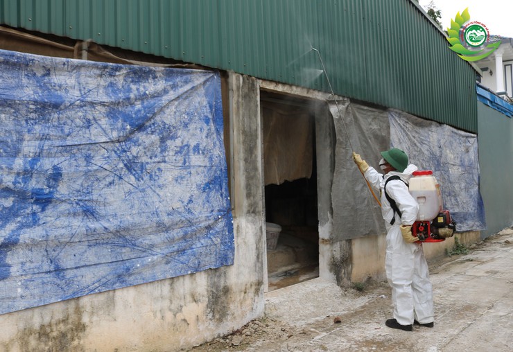 Phú Cát ra quân tổng vệ sinh, khử trùng môi trường phòng, chống dịch bệnh gia súc gia cầm dịp tết Bính Ngọ 2026- Ảnh 7.