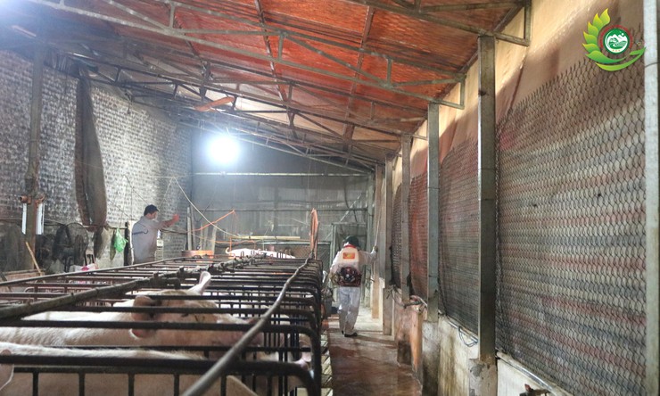 Phú Cát ra quân tổng vệ sinh, khử trùng môi trường phòng, chống dịch bệnh gia súc gia cầm dịp tết Bính Ngọ 2026- Ảnh 8.