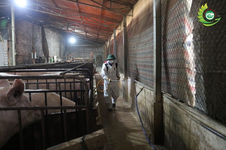 Phú Cát ra quân tổng vệ sinh, khử trùng môi trường phòng, chống dịch bệnh gia súc gia cầm dịp tết Bính Ngọ 2026- Ảnh 9.