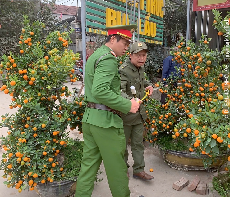 Công an xã Phú Nghĩa tăng cường tuyên truyền, đảm bảo an ninh trật tự tại Chợ hoa xuân 2026- Ảnh 1.